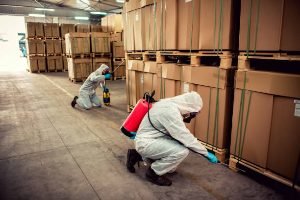 Best Affordable Pest Control Services  in Fairmont City, IL