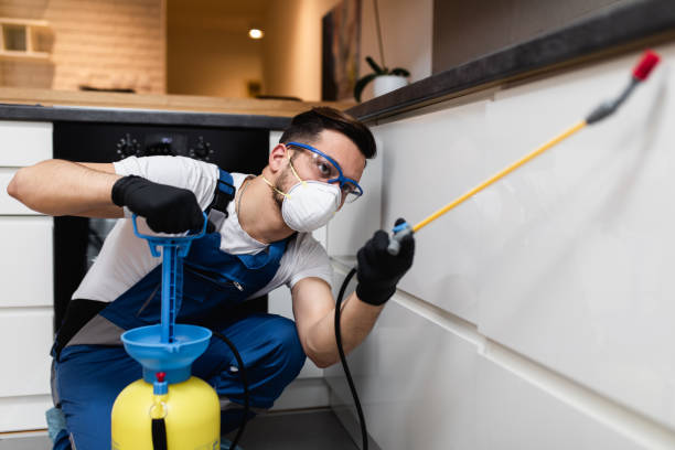 Best Cockroach Control Services  in Fairmont City, IL