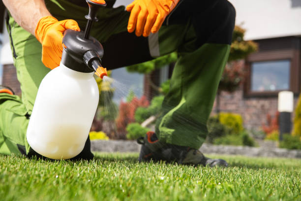 Best Pest Control Near Me  in Fairmont City, IL