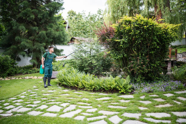 Best Pest Control Cost  in Fairmont City, IL