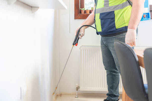 Best Termite Control Services  in Fairmont City, IL