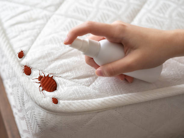 Best Bed Bug Extermination  in Fairmont City, IL