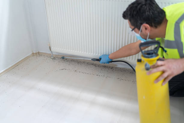 Best Pest Control for Restaurants  in Fairmont City, IL